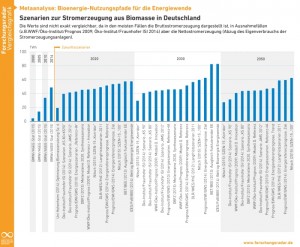Vergleich von Szenarien zur Stromerzeugung aus Biomasse in Deutschland (Grafik AEE)