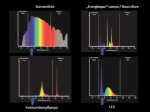 Vergleich zwischen verschiedenen Beleuchtungssystemen: Der blaue Lichtanteil wirkt sich auf den Tag-Nacht Rhythmus höherer Wirbeltiere aus. Quelle: IGB, Forschungsverbund Verlust der Nacht